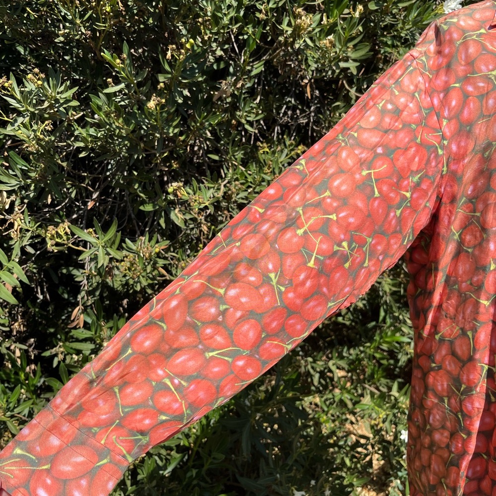 Vintage 1970’s silk Robert Charles button up shirt with passion fruit motif - Picture 6 of 7